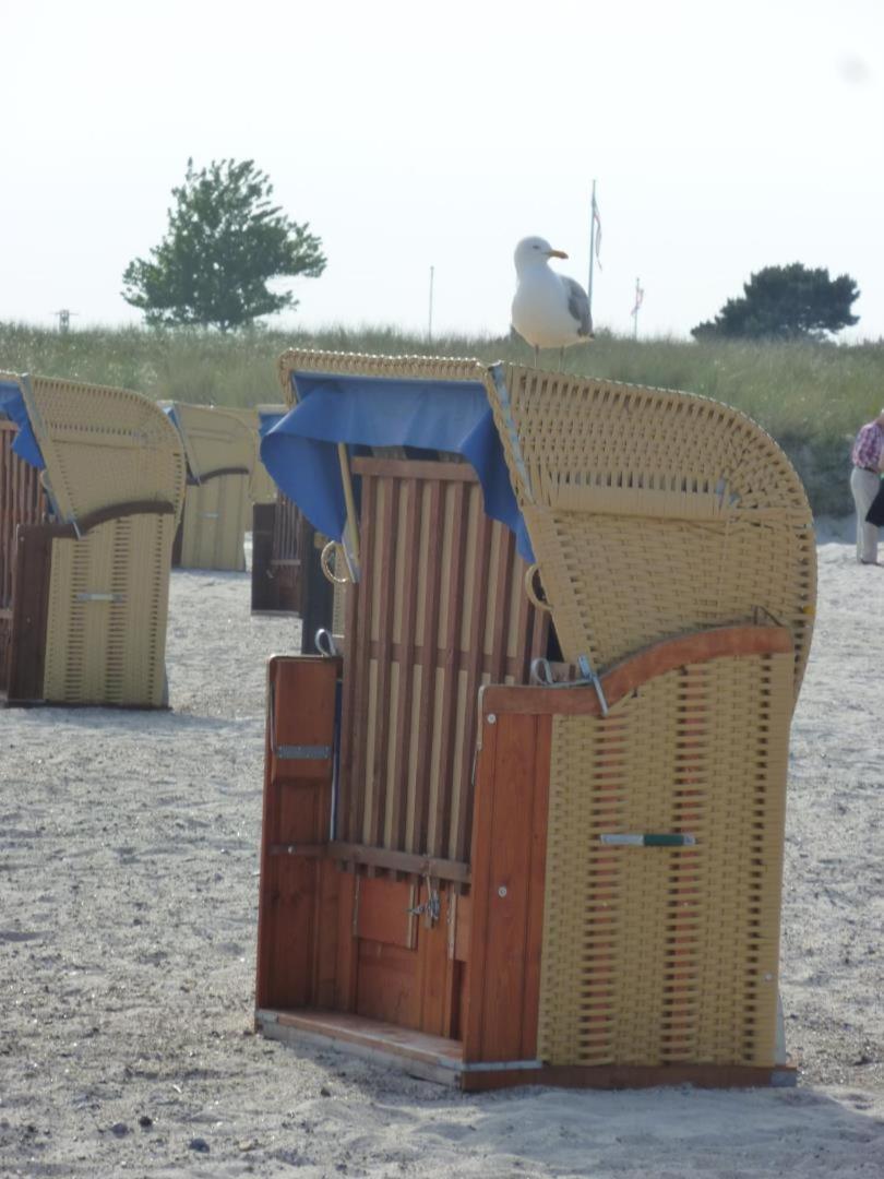Traumhafter Ostsee-Ausblick, Fewo Direkt Am Strand フェーマルン エクステリア 写真